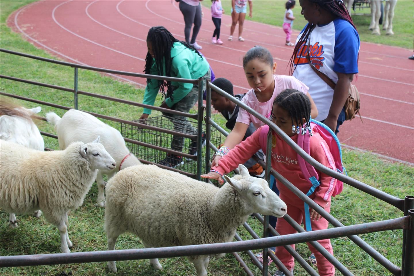 Sisters pet a sheep